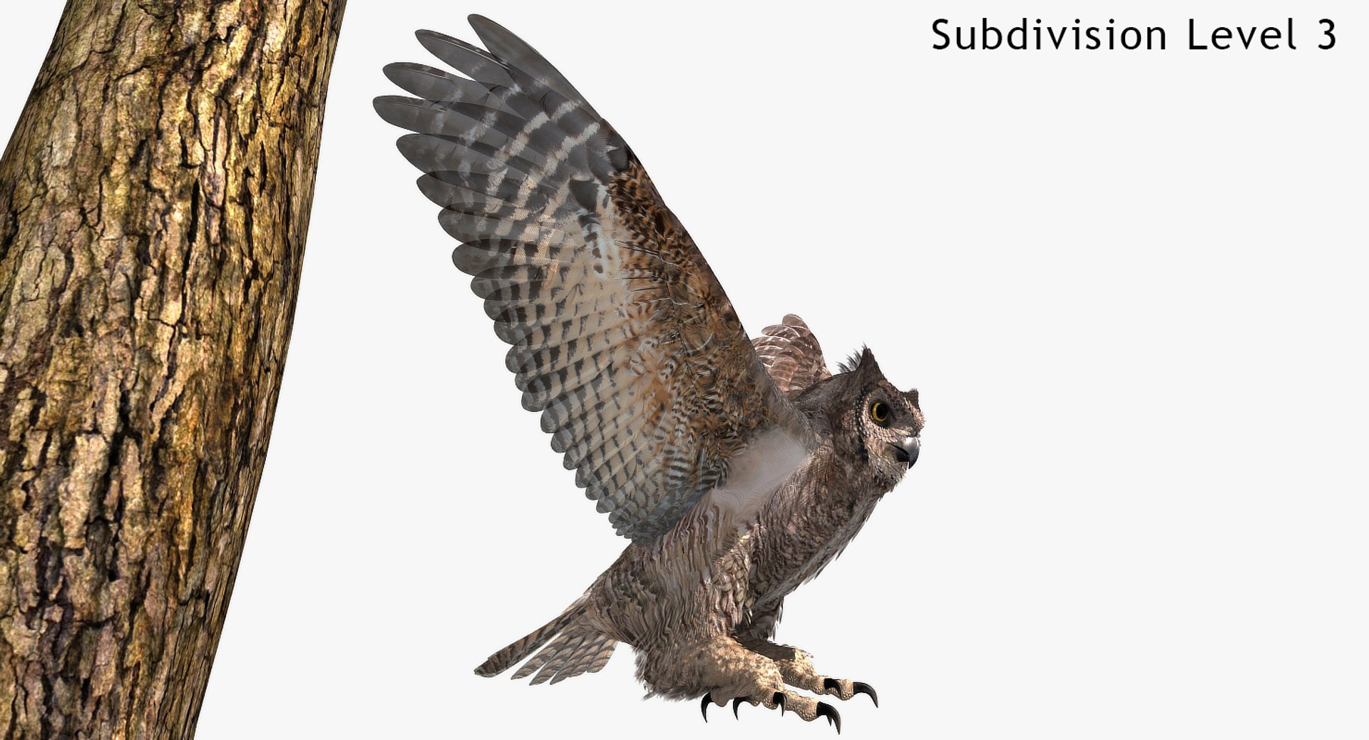 great horned owl 3D model https://p.turbosquid.com/ts-thumb/U4/3jLj1f/vDMtugJf/ghosingles1480x800_01a/jpg/1516495999/1920x1080/fit_q87/d1285ae68f5bf61f07e6d1fac711f064516f8750/ghosingles1480x800_01a.jpg