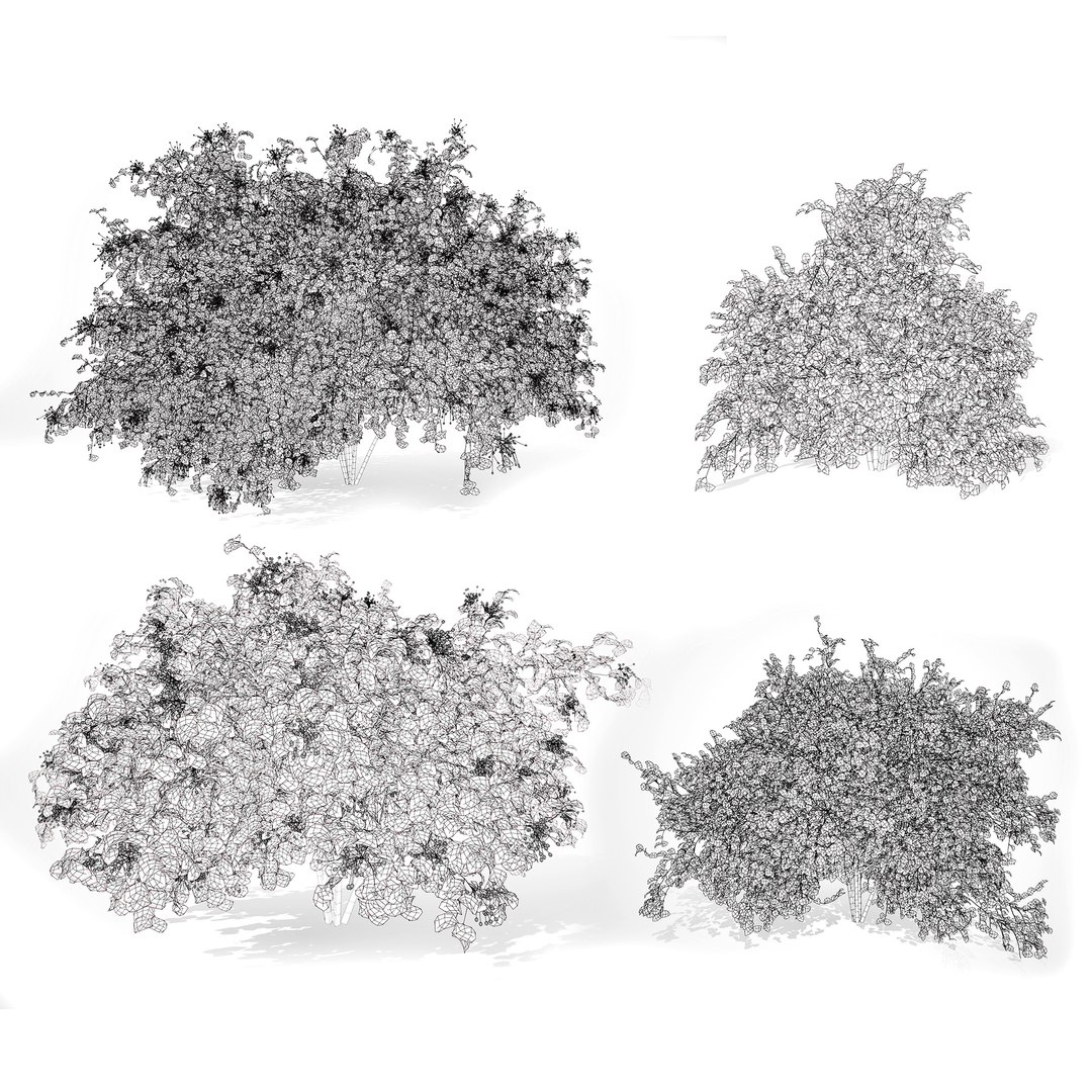 Gray Dogwood shrubs 3D https://p.turbosquid.com/ts-thumb/U4/Dfshjv/Pj/wire02/jpg/1704275301/1920x1080/fit_q87/12522566a3cd3f56064acab6765d57747623331b/wire02.jpg