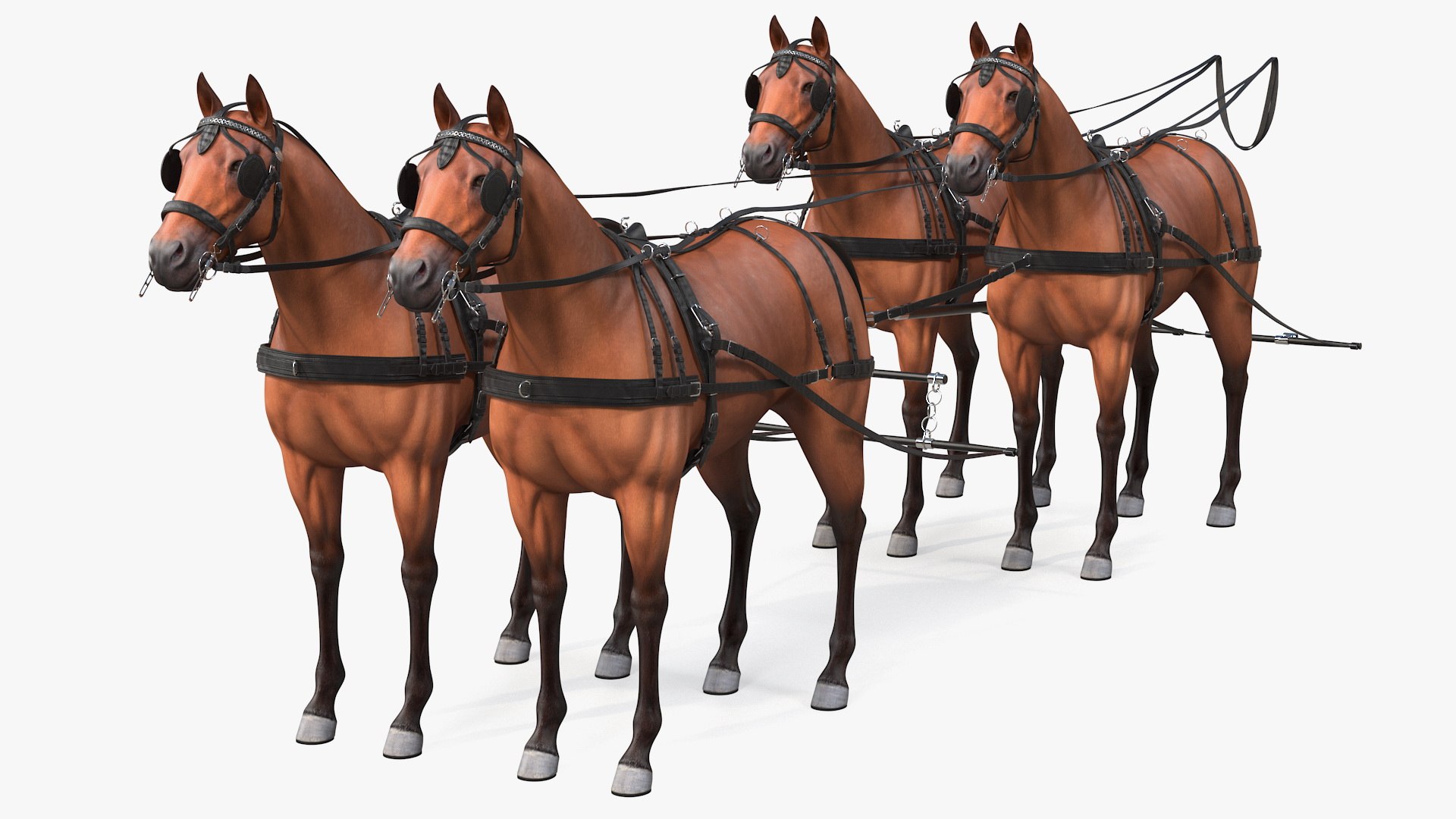 3D team breast collar harness https://p.turbosquid.com/ts-thumb/U4/FoOR6v/11WAefTZ/teamoffourbreastcollarharnessc4dmodel001/jpg/1597415900/1920x1080/fit_q87/4b2d63dcf863dcbc1ebb8946dc638e34658f88ee/teamoffourbreastcollarharnessc4dmodel001.jpg