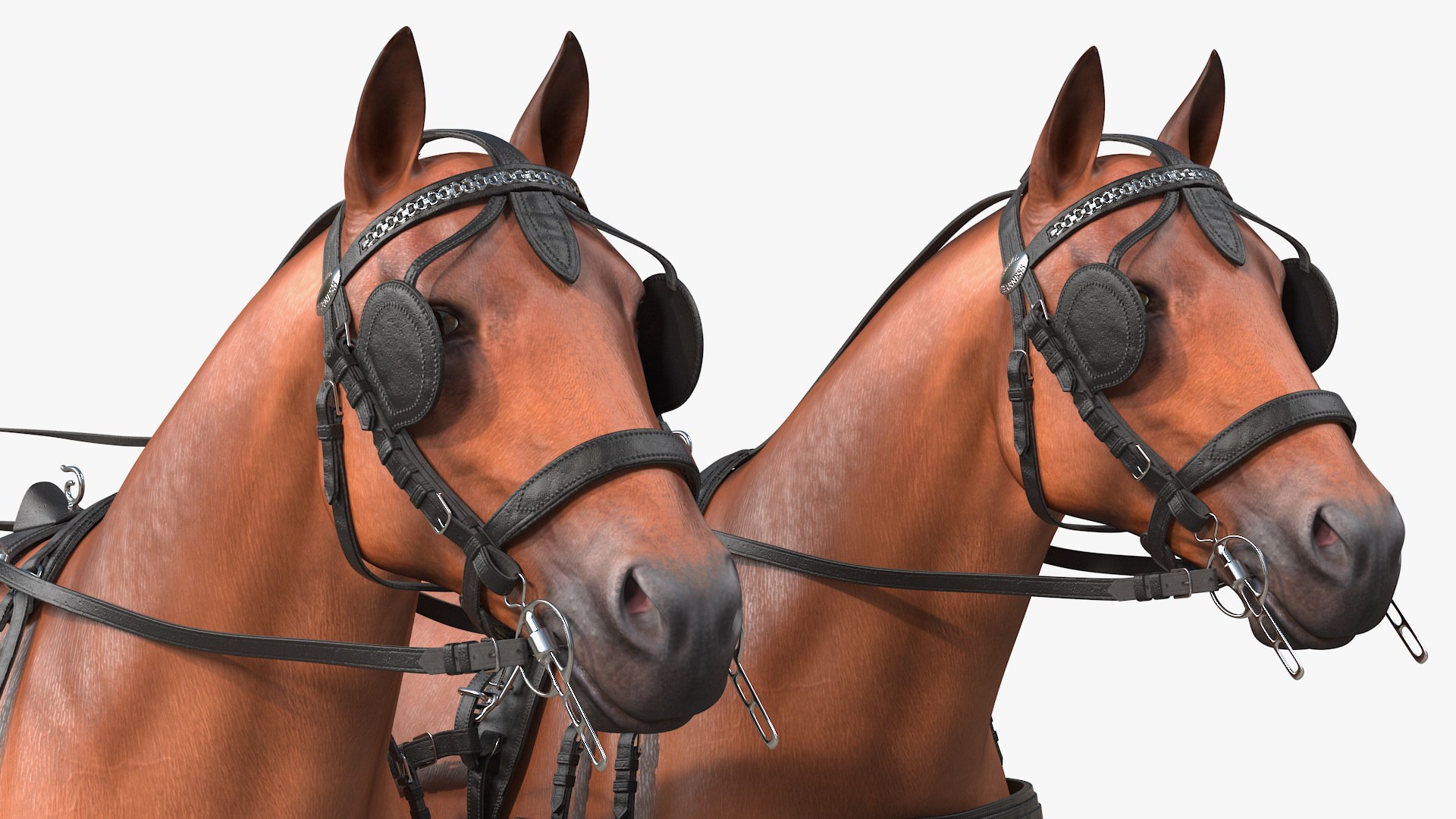 3D team breast collar harness https://p.turbosquid.com/ts-thumb/U4/FoOR6v/6dV22IGA/teamoffourbreastcollarharnessc4dmodel017/jpg/1597416091/1920x1080/fit_q87/aa28ba8e1448c30287070618090a2e701847440d/teamoffourbreastcollarharnessc4dmodel017.jpg