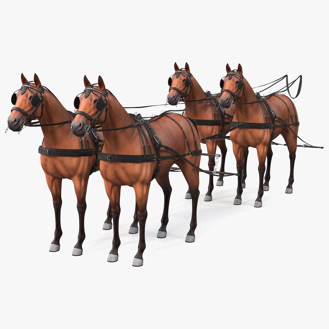 Team of Four Breast Collar Harness 3D model preview