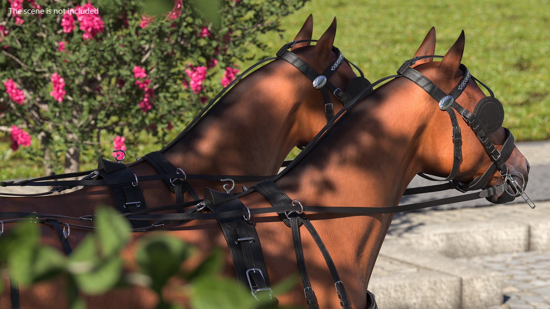 3D team breast collar harness https://p.turbosquid.com/ts-thumb/U4/FoOR6v/DdGlT7av/teamoffourbreastcollarharnessc4dmodel006/jpg/1597415958/1920x1080/fit_q87/8960040bececb3fd752274bbb3422aea354bc730/teamoffourbreastcollarharnessc4dmodel006.jpg