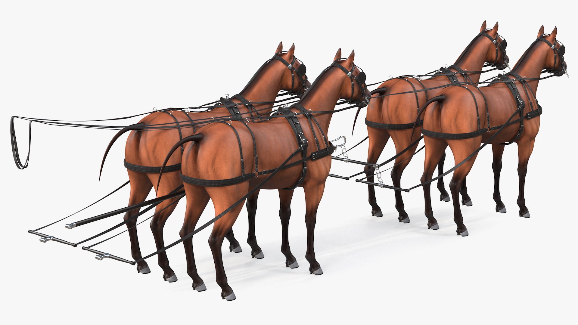 3D team breast collar harness https://p.turbosquid.com/ts-thumb/U4/FoOR6v/wfwhQleo/teamoffourbreastcollarharnessc4dmodel012/jpg/1597416031/1920x1080/fit_q87/a490b531f8855bd6fc47ec0db0dd2bf7b45a29f2/teamoffourbreastcollarharnessc4dmodel012.jpg