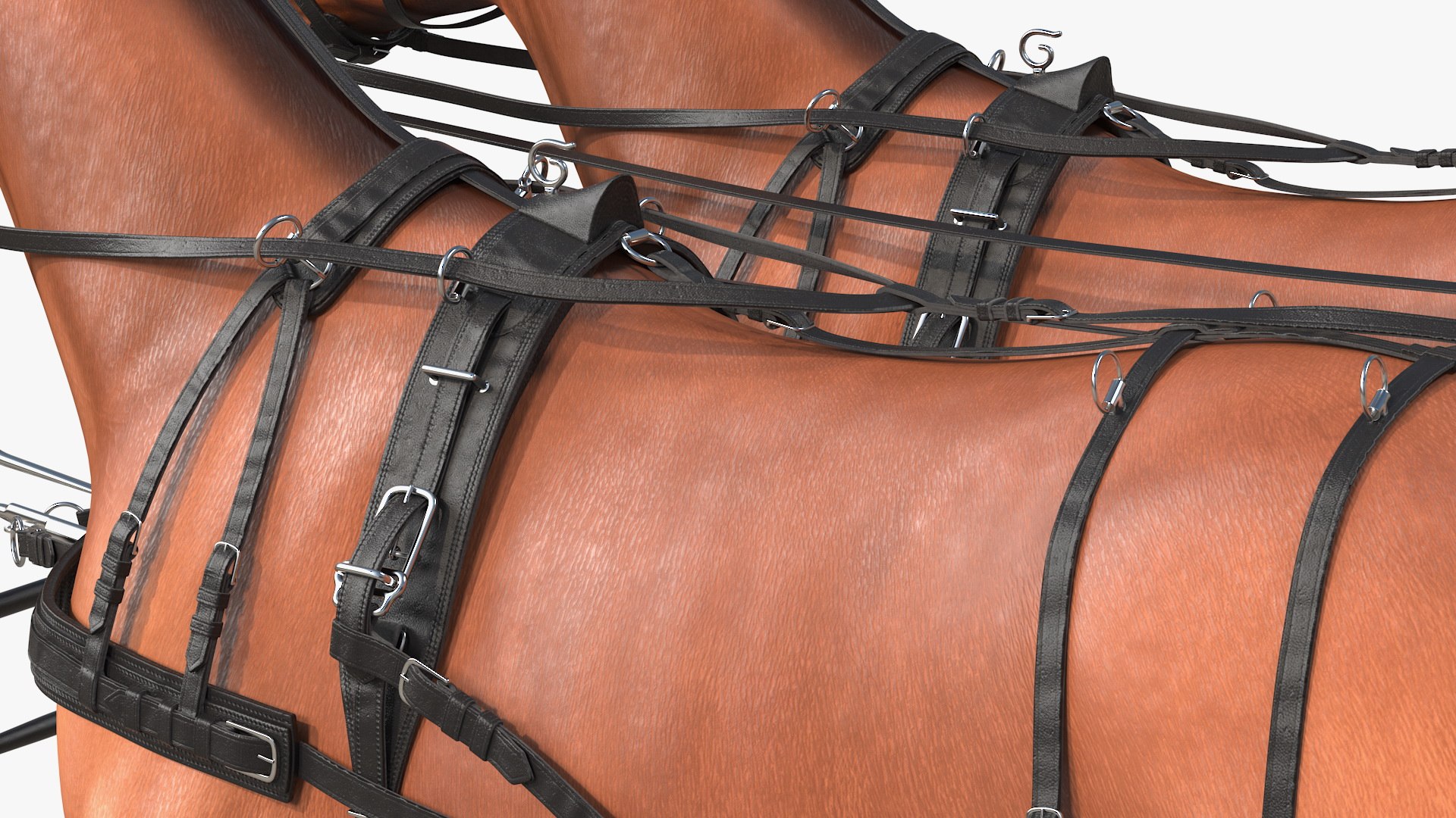 3D team breast collar harness https://p.turbosquid.com/ts-thumb/U4/FoOR6v/yueu3SeJ/teamoffourbreastcollarharnessc4dmodel021/jpg/1597416274/1920x1080/fit_q87/f99d4a5eaf6947a38251ee3f9a801960928ab3b7/teamoffourbreastcollarharnessc4dmodel021.jpg