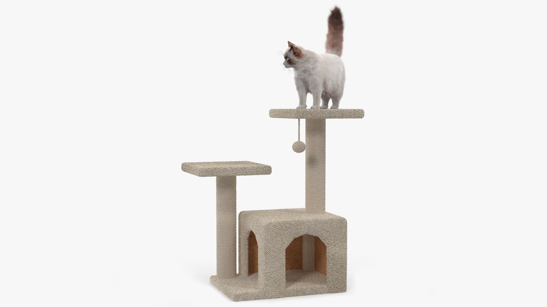3D Fluffy Cat Standing on Cat Tree Tower Fur model https://p.turbosquid.com/ts-thumb/U4/fdF2ke/CG/fluffy_cat_standing_on_cat_tree_tower_fur_001/jpg/1755511979/1920x1080/fit_q87/23e5039e5a7fab006533deb29f83823df50deb23/fluffy_cat_standing_on_cat_tree_tower_fur_001.jpg