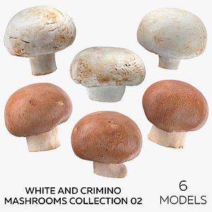 White and Crimino Mashrooms Collection 02 - 6 models 3D model