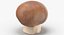 Collezione Mashrooms Bianco e Crimino 02 - 6 modelli
