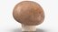 Collezione Mashrooms Bianco e Crimino 02 - 6 modelli