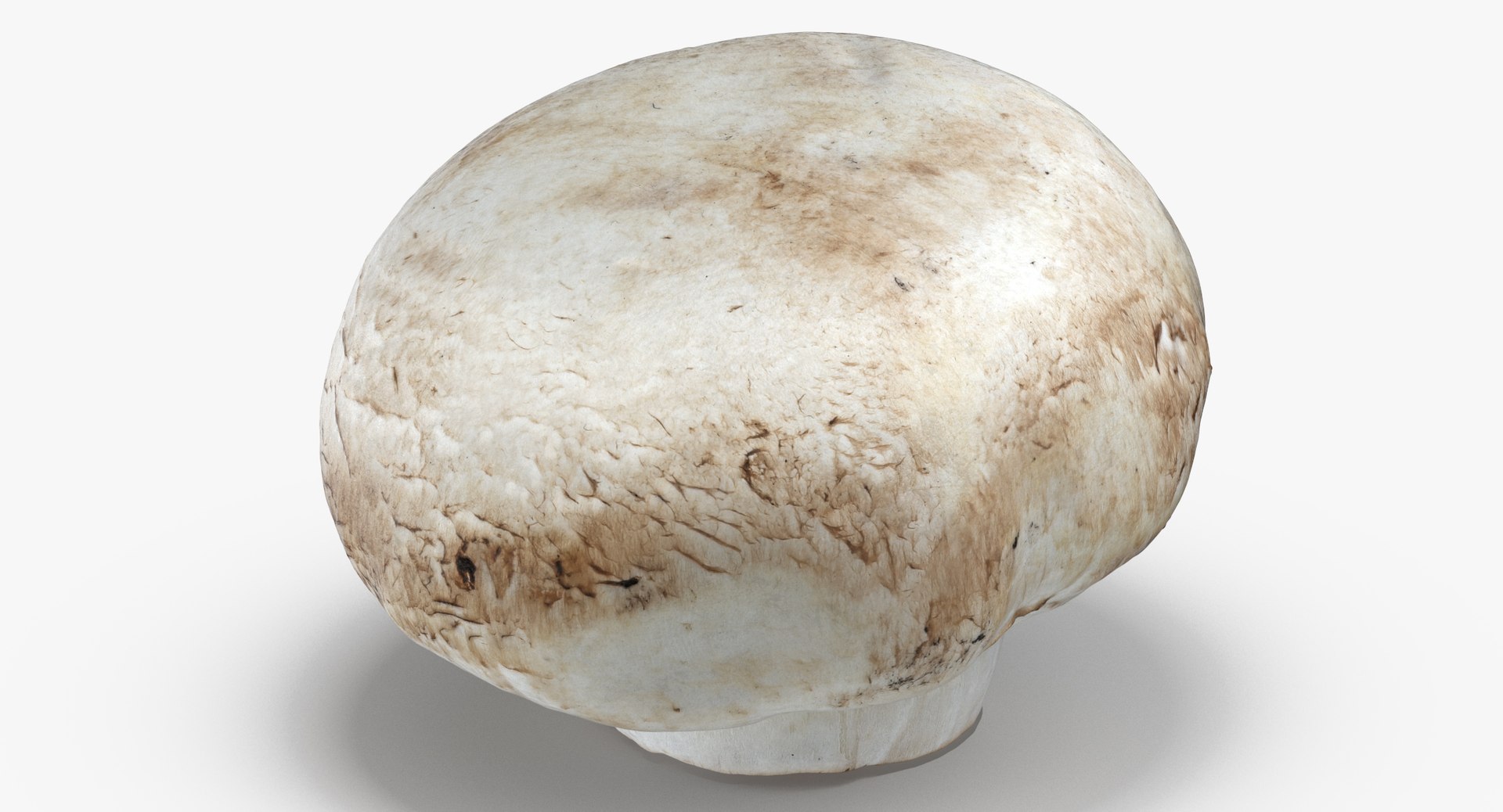 White and Crimino Mashrooms Collection 02 - 6 models 3D model https://p.turbosquid.com/ts-thumb/U4/t8inAS/D1/white_button_mushroom_01_thumbnail_0002/jpg/1635489219/1920x1080/fit_q87/7b0947c47c6be21fd3d8e3f0cdedb85bdecec3d2/white_button_mushroom_01_thumbnail_0002.jpg