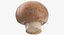 Collezione Mashrooms Bianco e Crimino 02 - 6 modelli