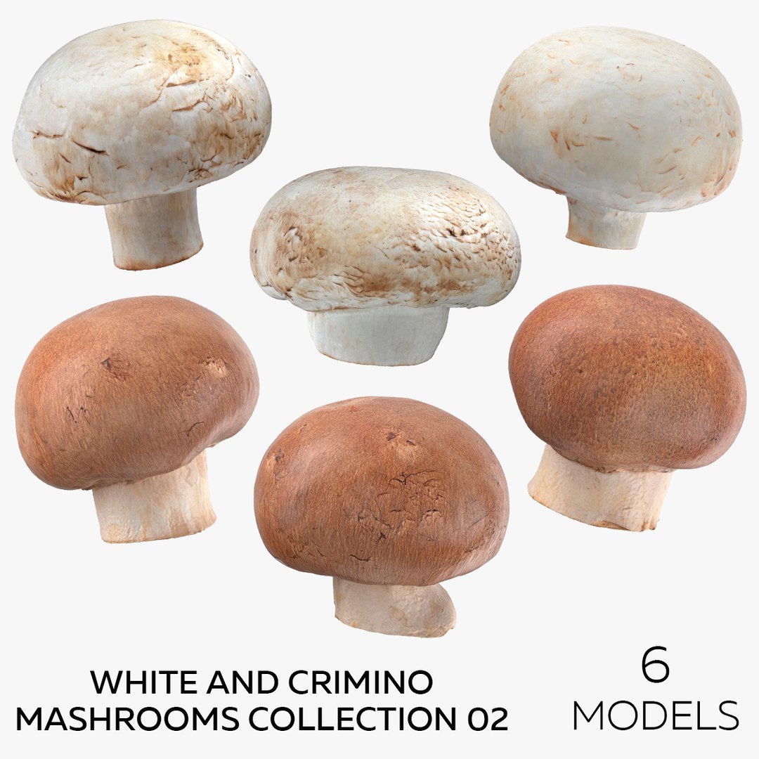 White and Crimino Mashrooms Collection 02 - 6 models 3D model https://p.turbosquid.com/ts-thumb/U4/t8inAS/YM/squarecopy/jpg/1635489221/1920x1080/fit_q87/628a3145147cae79e89c20a26311ea959b2e7a86/squarecopy.jpg
