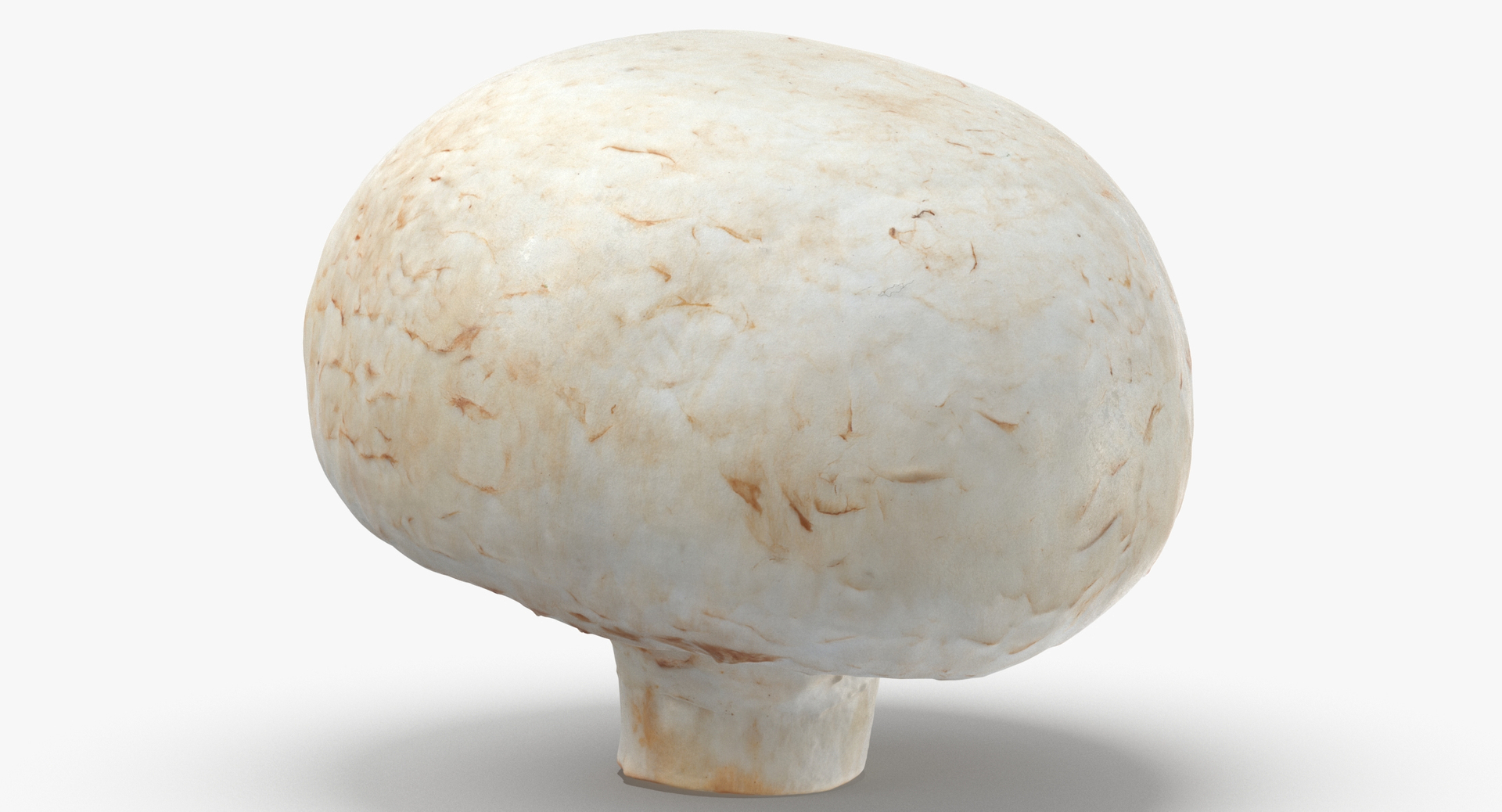 White and Crimino Mashrooms Collection 02 - 6 models 3D model https://p.turbosquid.com/ts-thumb/U4/t8inAS/bA/0020/jpg/1565272935/1920x1080/turn_fit_q99/344a013b30c57e5017ce593aed987c3b165b34c2/0020-1.jpg
