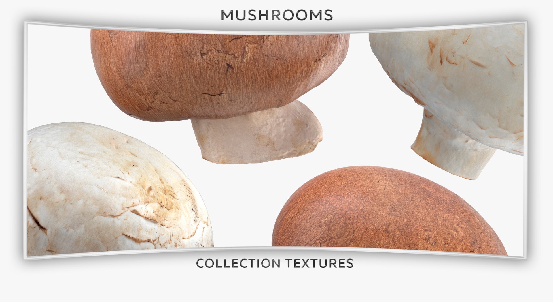 White and Crimino Mashrooms Collection 02 - 6 models 3D model https://p.turbosquid.com/ts-thumb/U4/t8inAS/fF/47t/jpg/1635489216/1920x1080/fit_q87/2aec435b0d085411cc2f411e1a7cdaa3393e3df4/47t.jpg