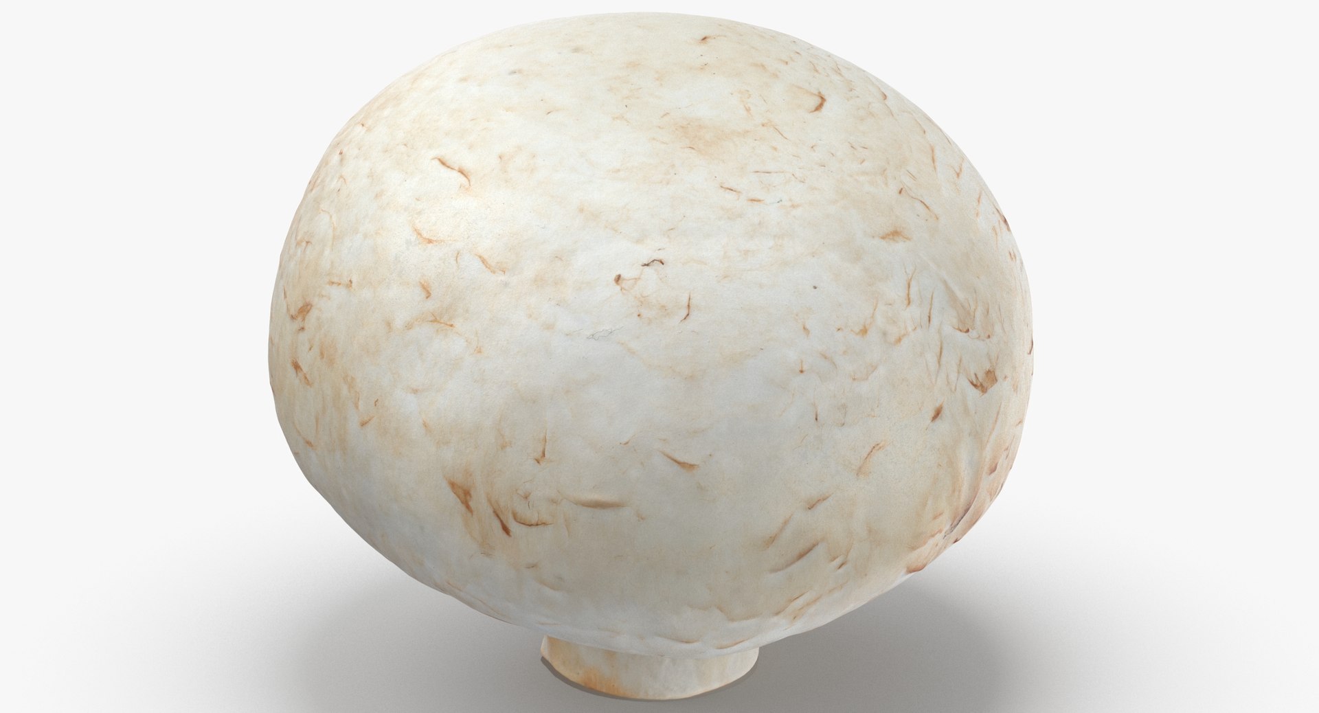 White and Crimino Mashrooms Collection 02 - 6 models 3D model https://p.turbosquid.com/ts-thumb/U4/t8inAS/l8/white_button_mushroom_02_thumbnail0005/jpg/1635489220/1920x1080/fit_q87/cc517c270464a59cda3fa5cb6799da864473aab0/white_button_mushroom_02_thumbnail0005.jpg