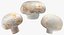 Collezione Mashrooms Bianco e Crimino 02 - 6 modelli