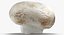 Collezione Mashrooms Bianco e Crimino 02 - 6 modelli