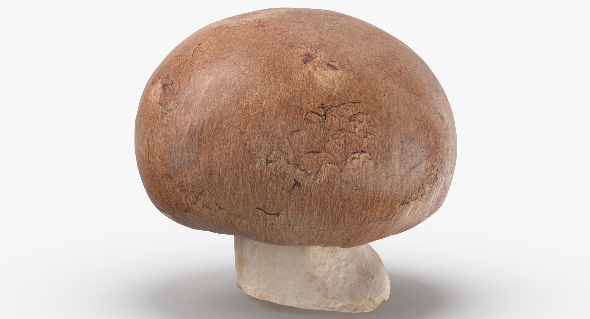 White and Crimino Mashrooms Collection 02 - 6 models 3D model https://p.turbosquid.com/ts-thumb/U4/t8inAS/s1/crimino_mushroom_03_thumbnail_0002.jpg5ff24435f9fb47daa2468dd1ac86f97ezoom/jpg/1635489212/1920x1080/fit_q87/8953ce74899aa9d237799fc6f3144e26a8abdded/crimino_mushroom_03_thumbnail_0002.jpg5ff24435f9fb47daa2468dd1ac86f97ezoom.jpg
