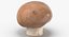 Collezione Mashrooms Bianco e Crimino 02 - 6 modelli