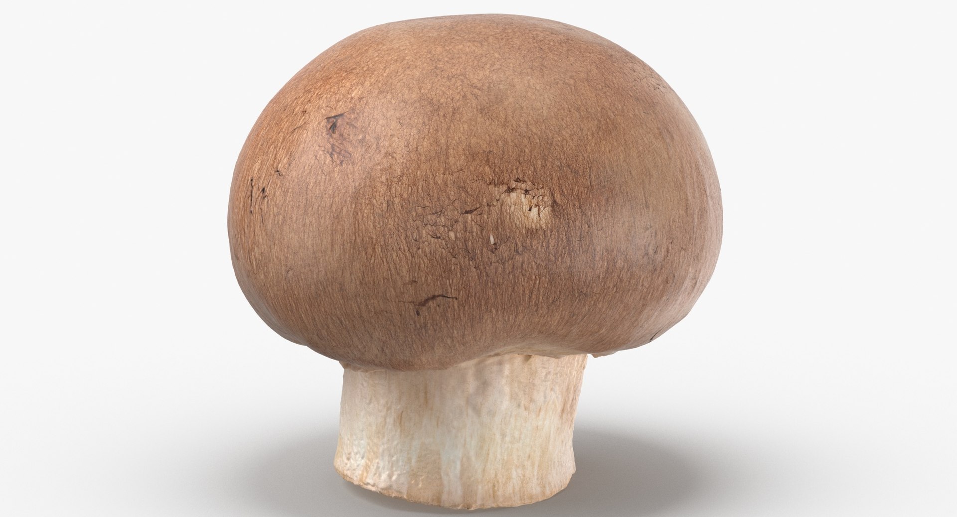 White and Crimino Mashrooms Collection 02 - 6 models 3D model https://p.turbosquid.com/ts-thumb/U4/t8inAS/xB/crimino_mushroom_01_thumbnail_0004.jpg5c4ce91182a545d7967e7fec7959318czoom/jpg/1635489209/1920x1080/fit_q87/4d76e2d5eb1568371167e92b62f25d9b4b95f6f2/crimino_mushroom_01_thumbnail_0004.jpg5c4ce91182a545d7967e7fec7959318czoom.jpg