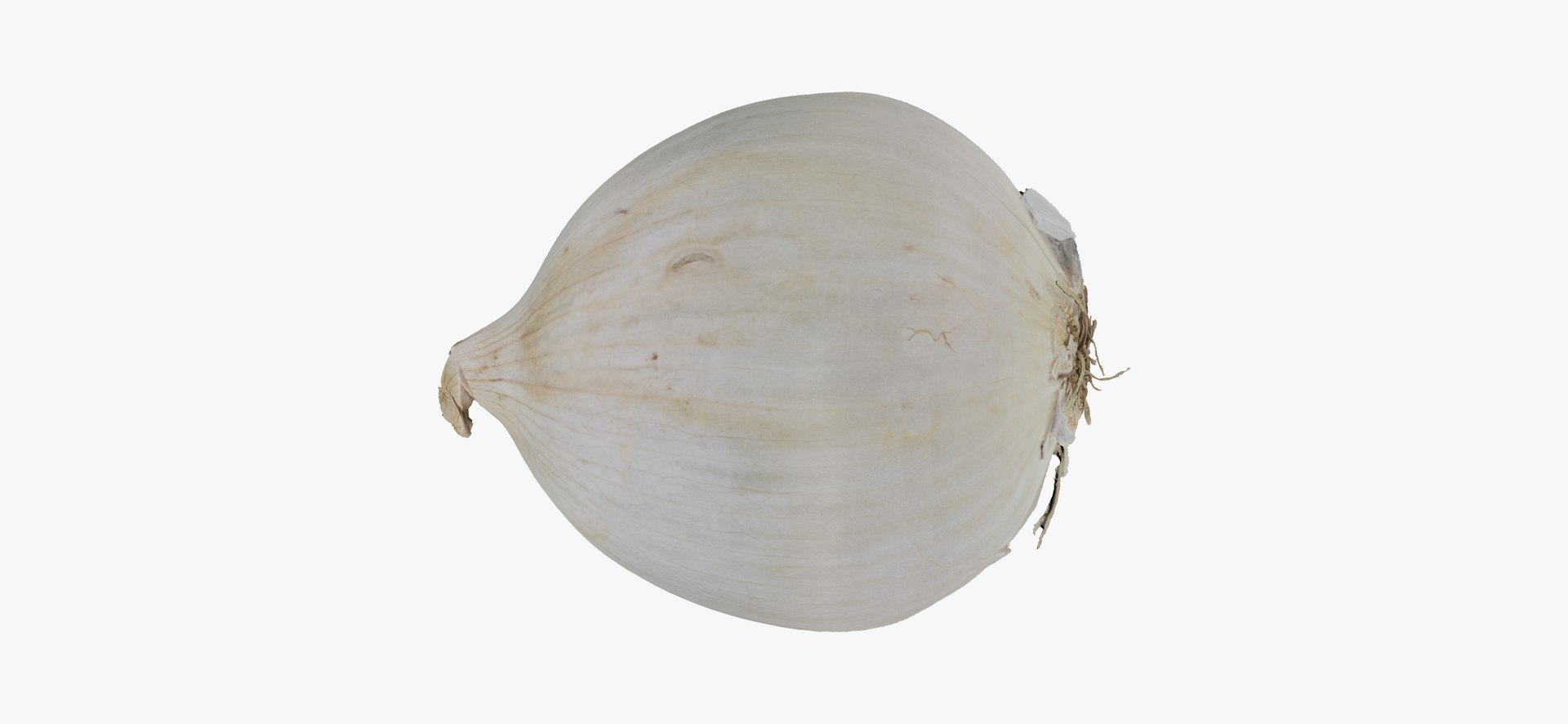 onion white 01 raw model https://p.turbosquid.com/ts-thumb/U4/yk3TAv/27sOoO6F/onionwhite01thumbnail11/jpg/1606756522/1920x1080/fit_q87/07f44d140ee7970e2d16be39682d096eb2dd63d7/onionwhite01thumbnail11.jpg