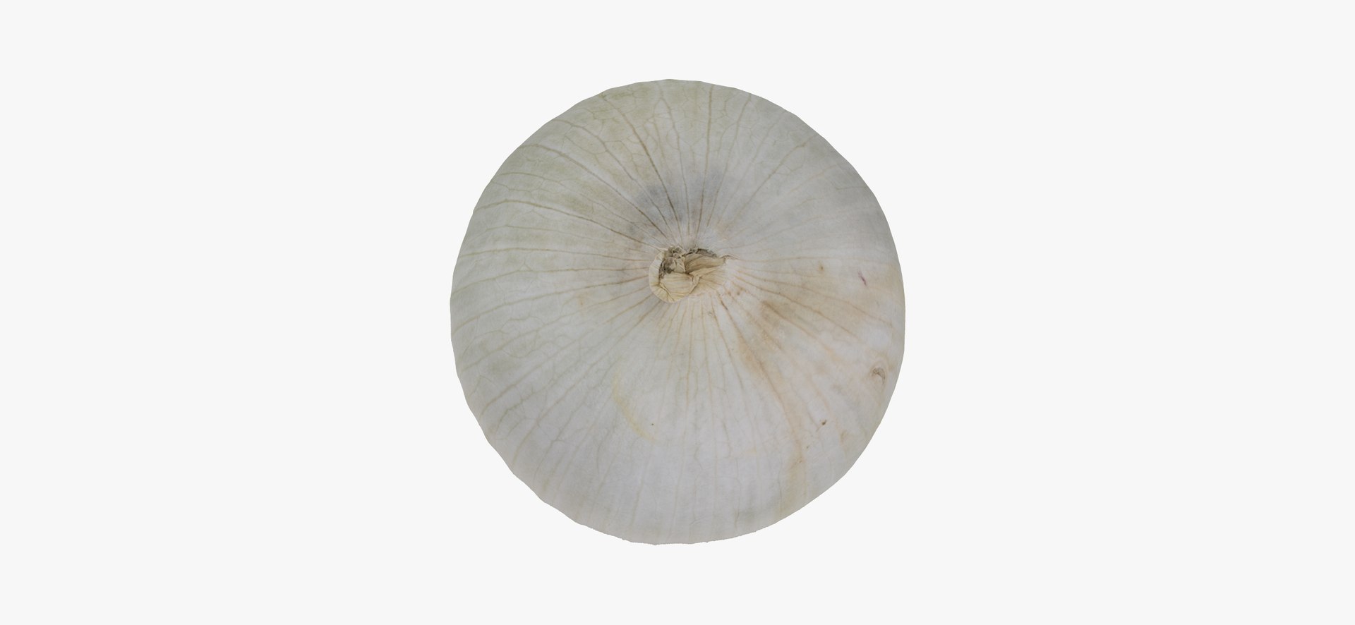 onion white 01 raw model https://p.turbosquid.com/ts-thumb/U4/yk3TAv/5zo4qgpe/onionwhite01thumbnail07/jpg/1606756522/1920x1080/fit_q87/3e2a8be1ec68b88bfde3d0d83a6a5455d58ed68b/onionwhite01thumbnail07.jpg