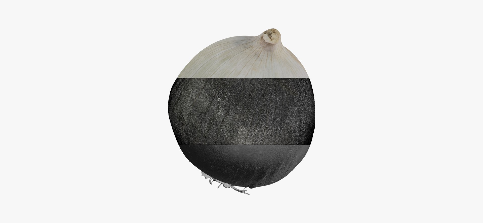 onion white 01 raw model https://p.turbosquid.com/ts-thumb/U4/yk3TAv/7u04EdLp/onionwhite01thumbnail06/jpg/1606756521/1920x1080/fit_q87/aac99c6d0e4936f9462ee1ba9f5daea7a0e848e5/onionwhite01thumbnail06.jpg