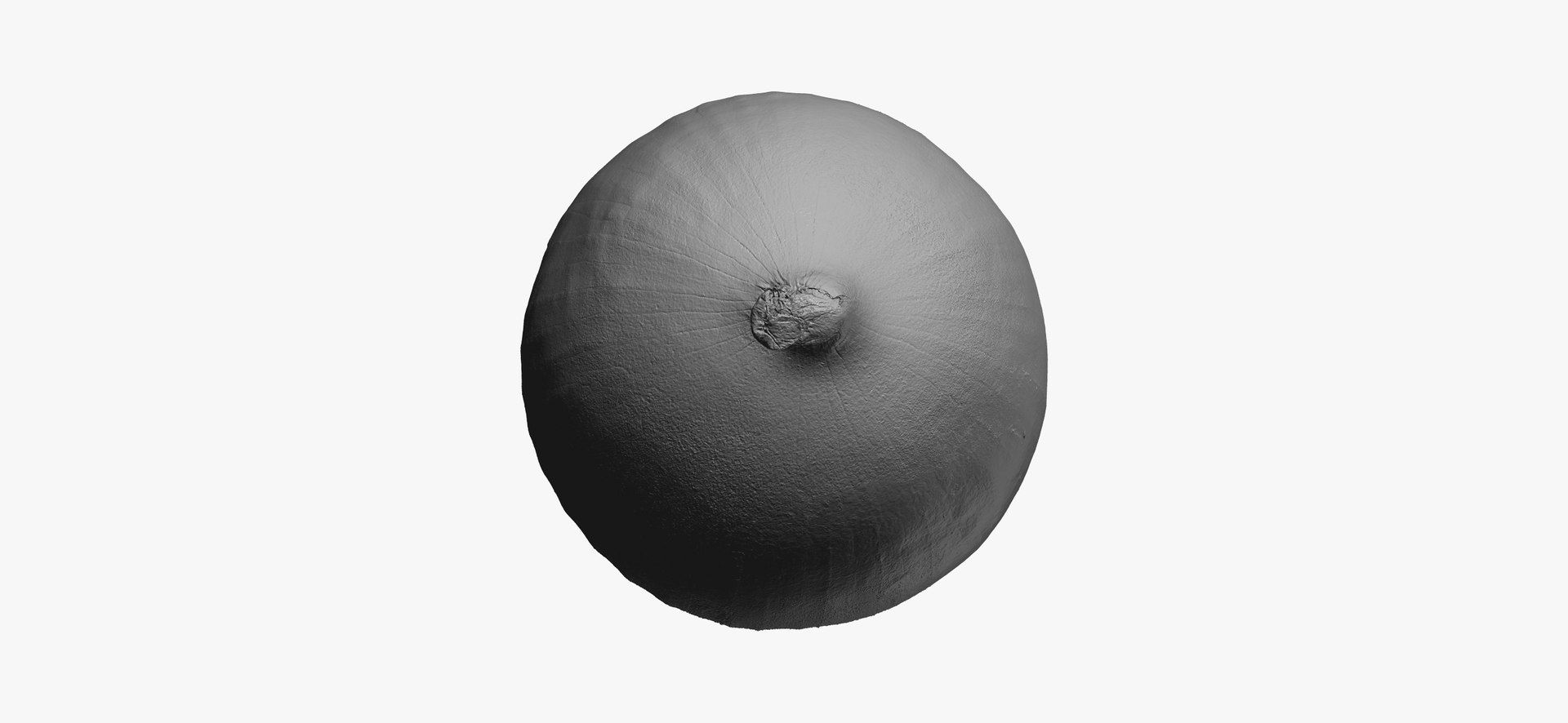 onion white 01 raw model https://p.turbosquid.com/ts-thumb/U4/yk3TAv/DeGJuFkF/onionwhite01thumbnail08/jpg/1606756522/1920x1080/fit_q87/4bd8c3b0ae6f0429e0e067c1a103a3827faf77dd/onionwhite01thumbnail08.jpg