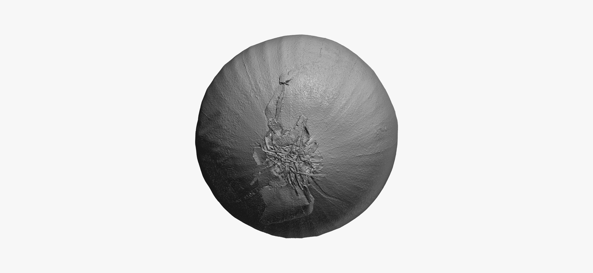 onion white 01 raw model https://p.turbosquid.com/ts-thumb/U4/yk3TAv/FDZFPZoY/onionwhite01thumbnail10/jpg/1606756522/1920x1080/fit_q87/fd80d0b517b07308237f7296954b300ad1d417e5/onionwhite01thumbnail10.jpg