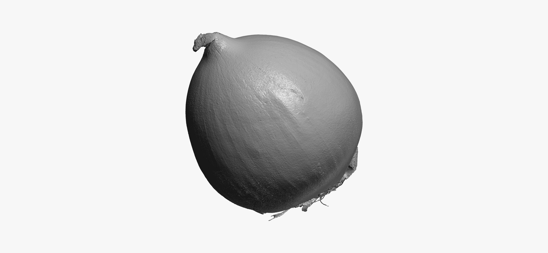 onion white 01 raw model https://p.turbosquid.com/ts-thumb/U4/yk3TAv/U1wGdfPN/onionwhite01thumbnail05/jpg/1606756521/1920x1080/fit_q87/93ba01615b40378a14ac6a8512d0b23c475ffa2c/onionwhite01thumbnail05.jpg