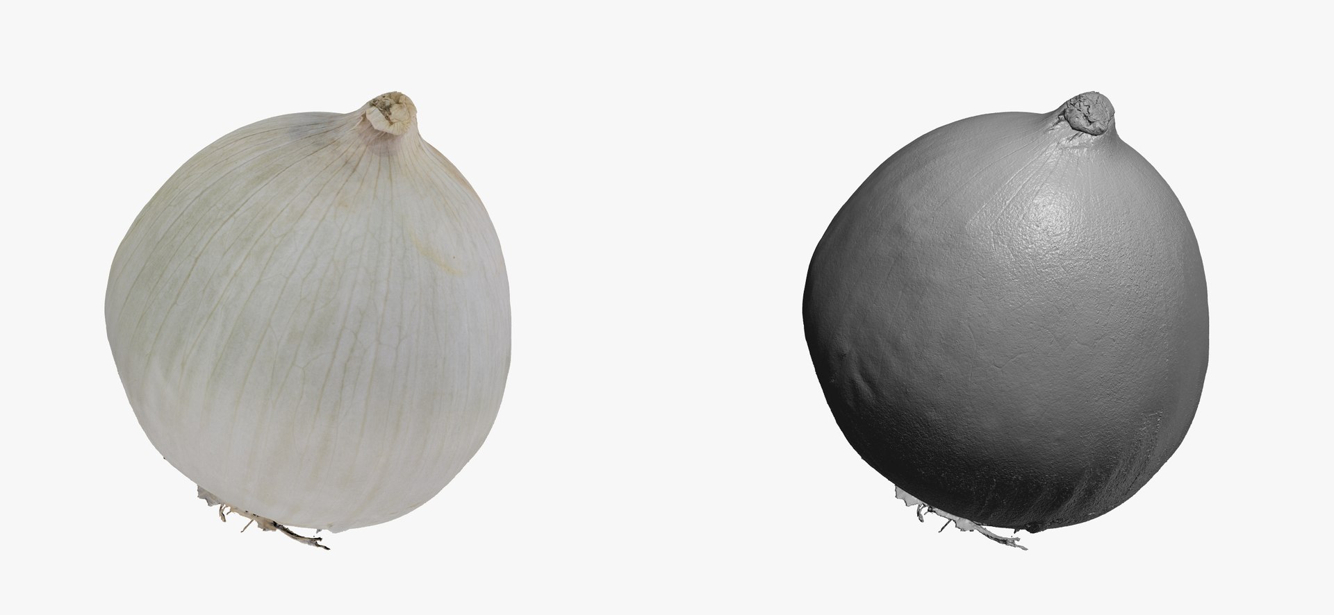 onion white 01 raw model https://p.turbosquid.com/ts-thumb/U4/yk3TAv/yj2O99GH/onionwhite01thumbnail03/jpg/1606756521/1920x1080/fit_q87/0509655bf6fbff0ee9cab47591526740ed28f201/onionwhite01thumbnail03.jpg