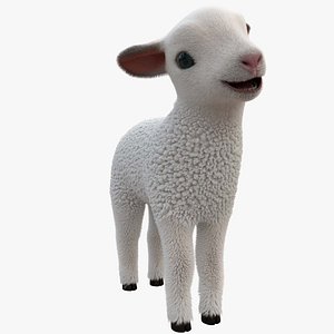 3D Sheep Lamb FUR ANIMATED model