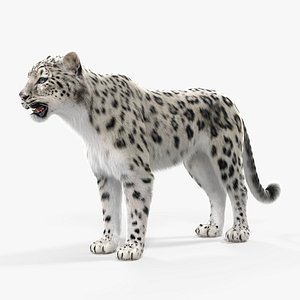 3D snow leopard fur