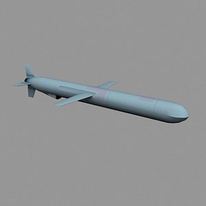 Tomahawk Cruise Missile