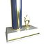 Troféu de Futebol II
