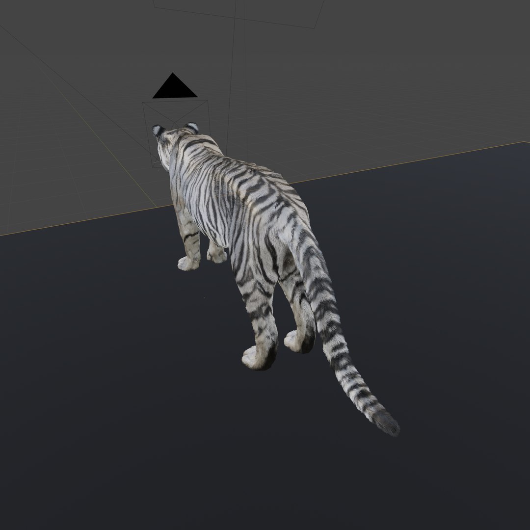 White Tiger With Fur Male 3D - TurboSquid 2196022