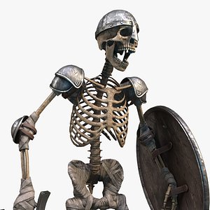 Medieval Skeleton Knight 3D model