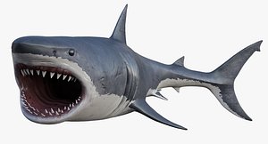 3D model realistic rigged great white