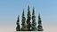 10-10 Picea Pendula 3D model