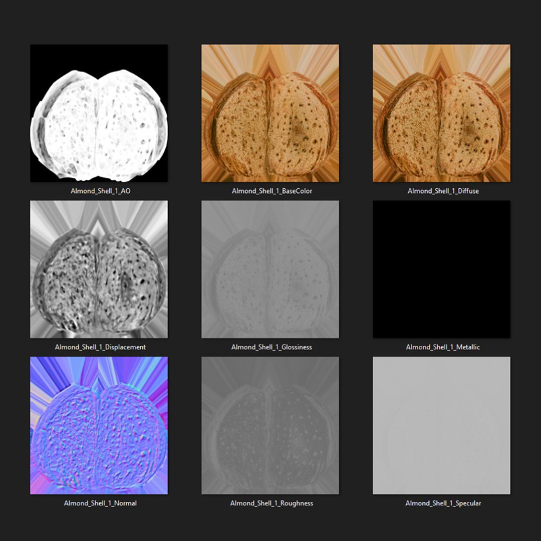 3D Almond Shell 01 - TurboSquid 1999133