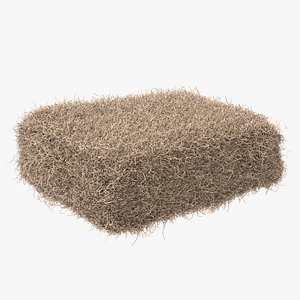 Hay Bale (Square Baler)