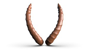 3D HORN 12 high poly sculpt 3D model model