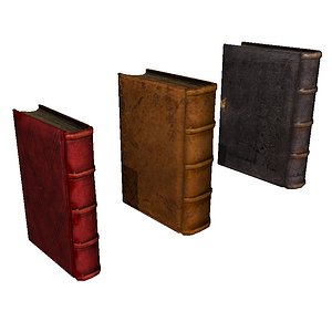 3 Medium Poly Books