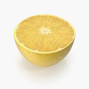 3D model Lemon Slice(1)