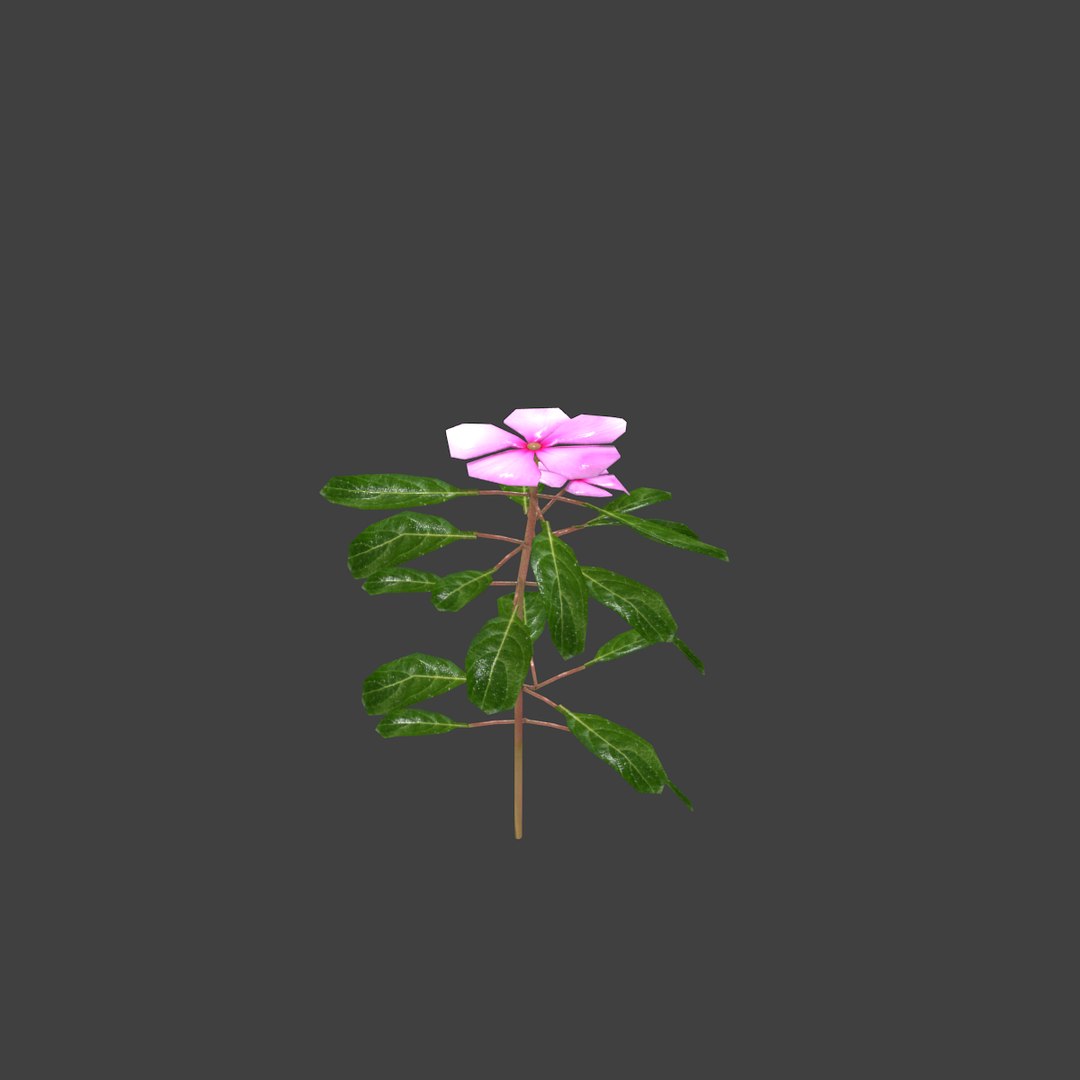 3D flowers https://p.turbosquid.com/ts-thumb/U6/ZIOjBp/Qdnp3HdS/image002/png/1571137372/1920x1080/fit_q87/13e0e0542932c7f768febddc3685818f3dd5f8ec/image002.jpg