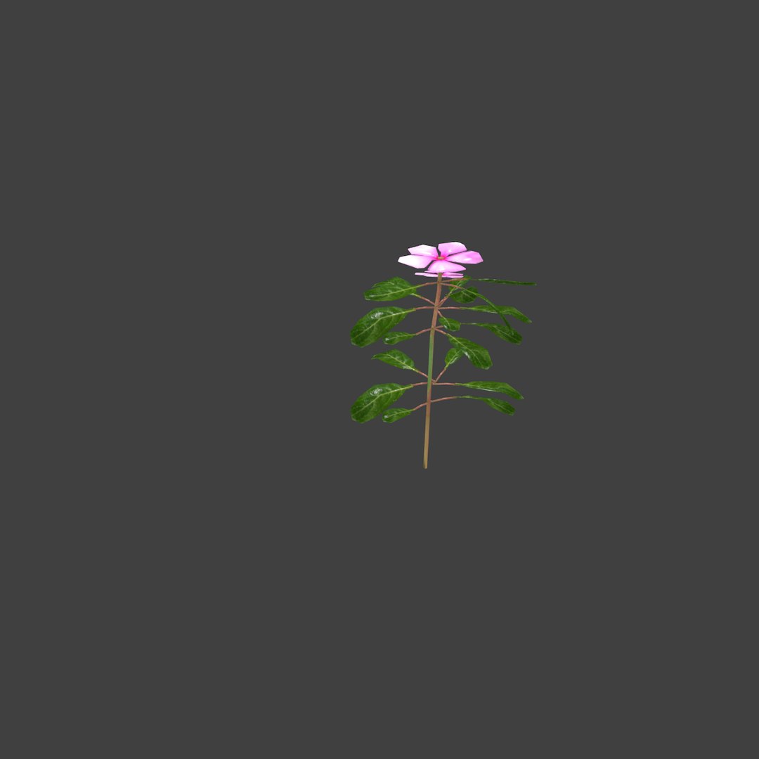 3D flowers https://p.turbosquid.com/ts-thumb/U6/ZIOjBp/m3A8EBVc/image004/png/1571137372/1920x1080/fit_q87/4b1a1217ad5705aa94e4a12eda67a21765b9d199/image004.jpg