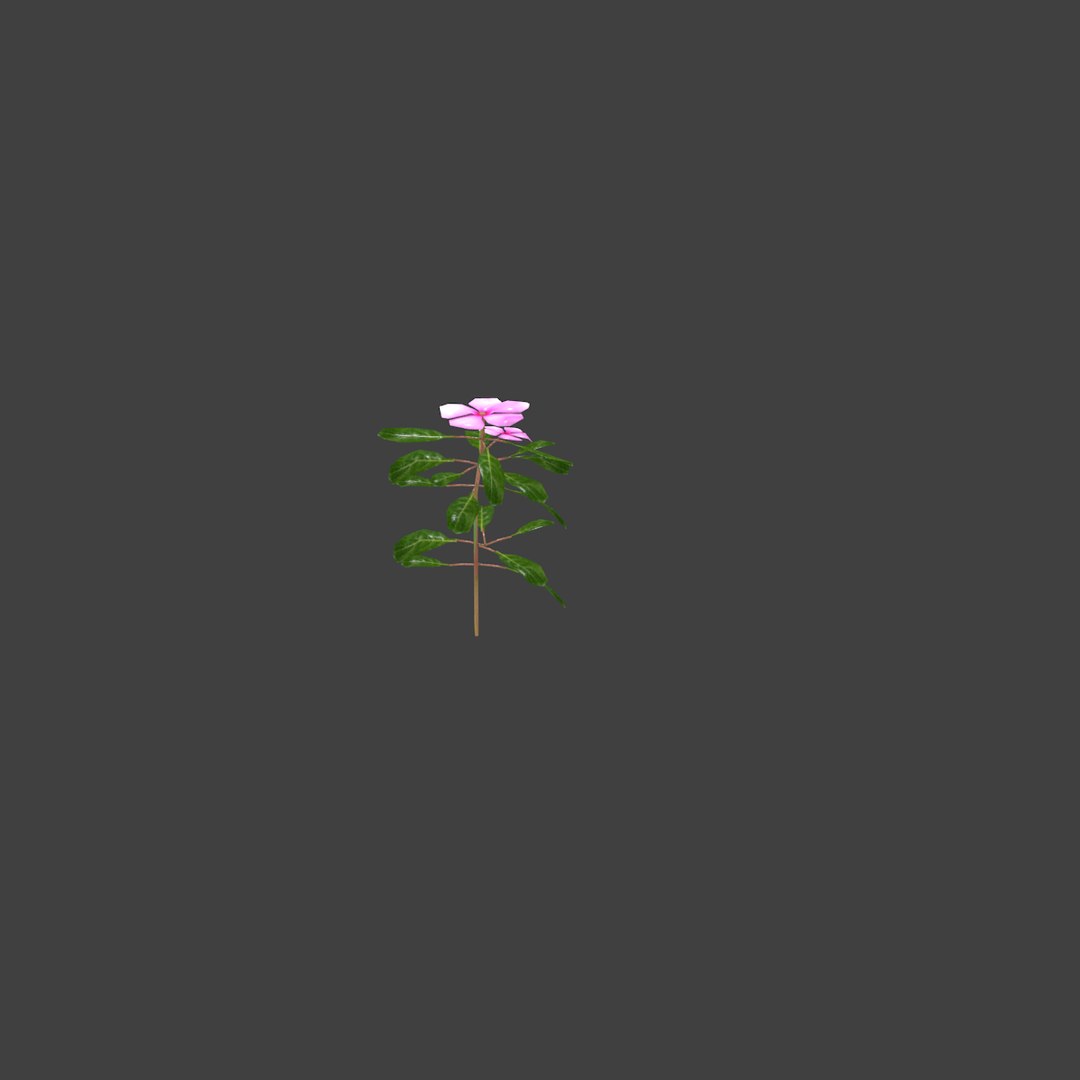 3D flowers https://p.turbosquid.com/ts-thumb/U6/ZIOjBp/tOtNRp3d/image003/png/1571137372/1920x1080/fit_q87/88c607d38e2325d10fbcd15319fb28c7955a2fac/image003.jpg