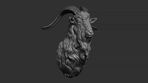 3D Goat head