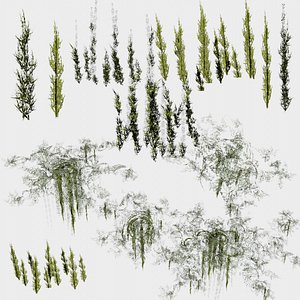 12 in 1 Coral Kelp Collection -  Game Assets - Low Poly 3D model