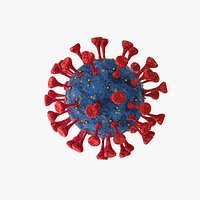 Coronavirus COVID 19