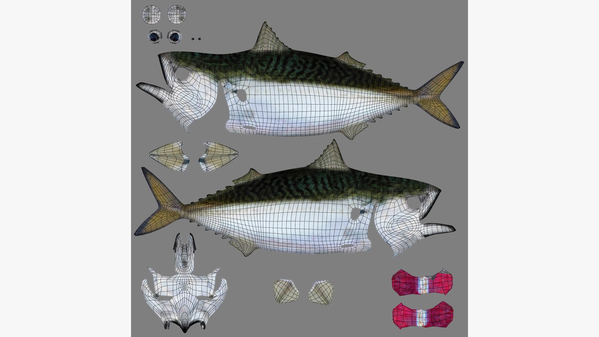 Pacific Chub Mackerel 3D model https://p.turbosquid.com/ts-thumb/U6/iS04fe/Ao/pacific_chub_mackerel_scomber_japonicus_fish_3d_model_by_andreas_piel_uv_map/jpg/1778596231/1920x1080/fit_q87/726cdad48599f3bd154e4c1144f7cdbb9906d463/pacific_chub_mackerel_scomber_japonicus_fish_3d_model_by_andreas_piel_uv_map.jpg